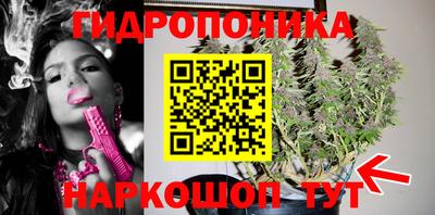 а пвп мука Тара