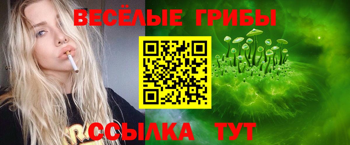 Новоалександровск  Псилоцибиновые грибы мухоморы  Вход с VPN 